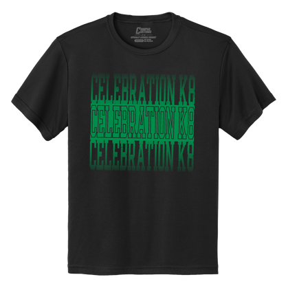 Youth Celebration K8 Fade Dri Fit T-Shirt